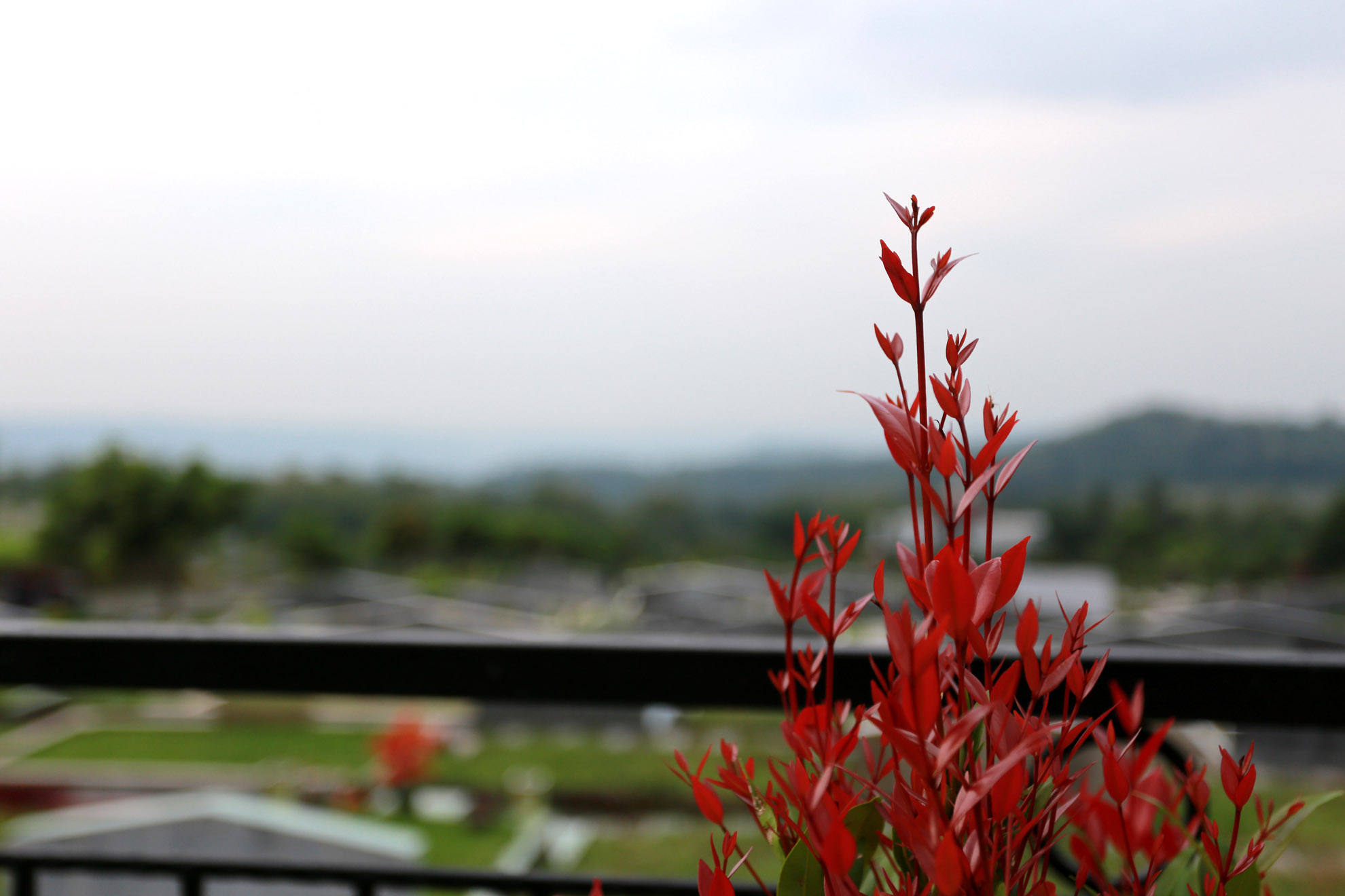 Mount Carmel Cirebon view 2